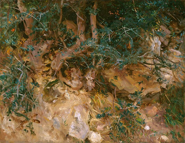 Valdemosa, Majorca: Thistles and Herbage on a Hillside, 1908 | Sargent | Giclée Leinwand Kunstdruck