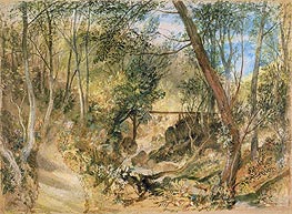 J. M. W. Turner | The Woodwalk, Farnley Hall, c.1818 | Giclée Paper Print