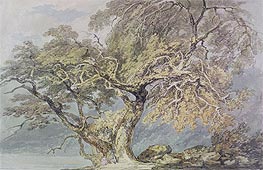 J. M. W. Turner | A Great Tree | Giclée Paper Print