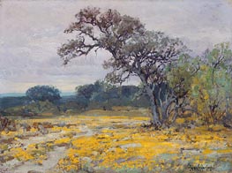 Coreopsis near San Antonio, Texas, 1919 by Julian Onderdonk | Canvas Print