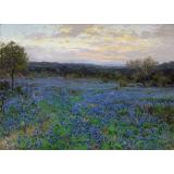 Field of Bluebonnets at Sunset, n.d. - Julian Onderdonk