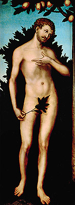 Adam, 1533 | Lucas Cranach