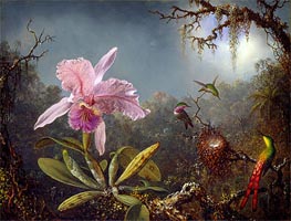 Martin Johnson Heade | Cattleya Orchid and Three Brazilian Hummingbirds, 1871 | Giclée Canvas Print