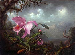 Orchid and Hummingbird | Martin Johnson Heade | Painting Reproduction