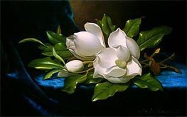 Martin Johnson Heade | Giant Magnolias on a Blue Velvet Cloth | Giclée Canvas Print