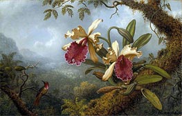 Orchids and Hummingbird, c.1875/83 by Martin Johnson Heade | Canvas Print