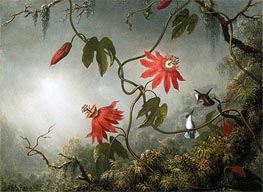 Martin Johnson Heade | Passion Flowers and Hummingbirds | Giclée Canvas Print