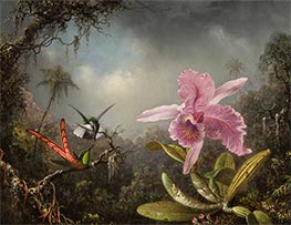 Orchid with Two Hummingbirds | Martin Johnson Heade | Painting Reproduction