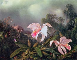 Martin Johnson Heade | Jungle Orchids and Hummingbirds | Giclée Canvas Print
