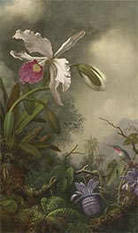 White Orchid and Hummingbird, c.1875/90 by Martin Johnson Heade | Canvas Print