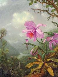Kolibri auf der Orchideenpflanze sitzend | Martin Johnson Heade | Gemälde Reproduktion