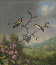 Martin Johnson Heade | Hummingbirds and Apple Blossoms, c.1865 | Giclée Canvas Print