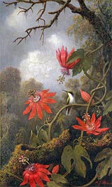 Hummingbird and Passionflowers, c.1875/85 by Martin Johnson Heade | Canvas Print