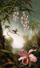 Martin Johnson Heade | Orchids and Spray Orchids with Hummingbirds, c.1875/90 | Giclée Canvas Print