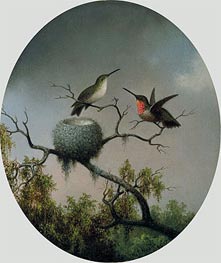Martin Johnson Heade | Hummingbirds with Nest | Giclée Canvas Print