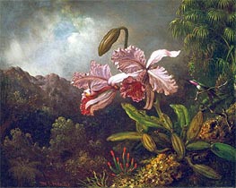 Martin Johnson Heade | Orchids in a Jungle, 1870s | Giclée Canvas Print