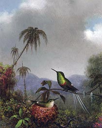 Two Thorn-Tails (Langsdorffs Thorn-Tail Brazil), c.1864/65 von Martin Johnson Heade | Leinwand Kunstdruck