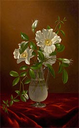 Cherokee Roses in a Glass Vase | Martin Johnson Heade | Painting Reproduction
