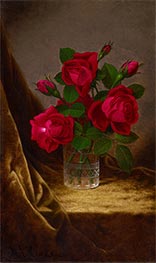 Martin Johnson Heade | Jacqueminot Roses, c.1883/90 | Giclée Canvas Print