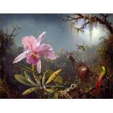 Cattleya Orchid and Three Brazilian Hummingbirds, 1871 - Martin Johnson Heade