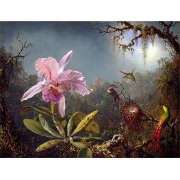 Cattleya Orchid and Three Brazilian Hummingbirds - Martin Johnson Heade