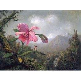 Orchid and Hummingbird near Mountain Waterfall - Martin Johnson Heade