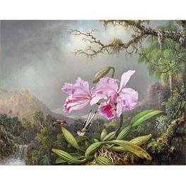 Study of an Orchid - Martin Johnson Heade