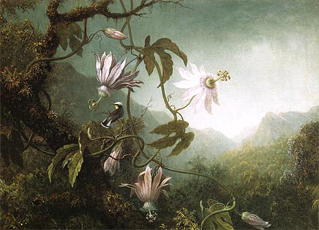 Hummingbird Pearched near Passion Flowers, c.1870 | Martin Johnson Heade | Giclée Leinwand Kunstdruck