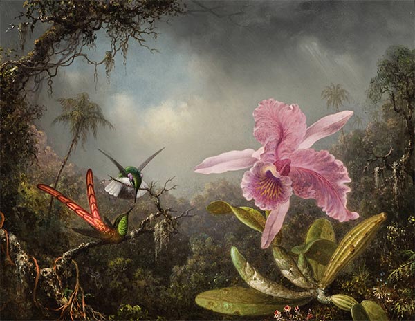 Orchid with Two Hummingbirds, 1871 | Martin Johnson Heade