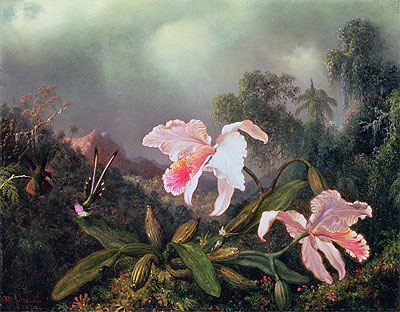 Jungle Orchids and Hummingbirds, 1872 | Martin Johnson Heade