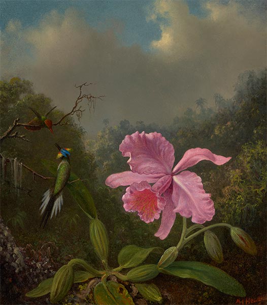 Fighting Hummingbirds with Pink Orchid, c.1875/90 | Martin Johnson Heade | Giclée Canvas Print