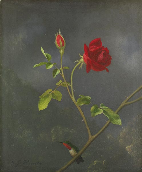 Red Rose with Ruby Throat, c.1875/83 | Martin Johnson Heade | Giclée Leinwand Kunstdruck