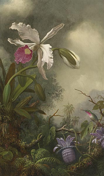 White Orchid and Hummingbird, c.1875/90 | Martin Johnson Heade | Giclée Canvas Print