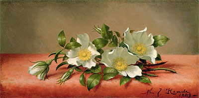 The Cherokee Rose, 1889 | Martin Johnson Heade | Giclée Leinwand Kunstdruck