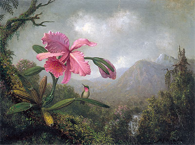 Martin Johnson Heade | Orchid and Hummingbird near Mountain Waterfall, 1902 | Giclée Leinwand Kunstdruck