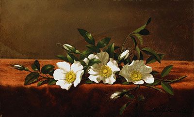 Cherokee Roses, c.1890 | Martin Johnson Heade | Giclée Leinwand Kunstdruck