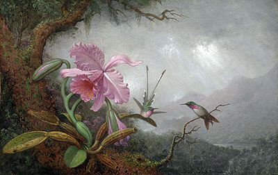 Hummingbirds and Orchids, 1880s | Martin Johnson Heade | Giclée Canvas Print