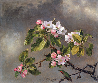 Kolibri und Apfelblüten, 1875 | Martin Johnson Heade | Giclée Leinwand Kunstdruck