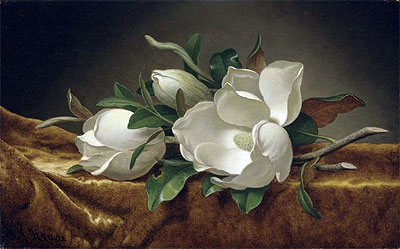 Magnolias on Gold Velvet Cloth, c.1888/90 | Martin Johnson Heade | Giclée Canvas Print