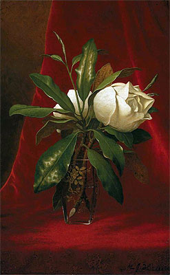 Magnolias, c.1883/00 | Martin Johnson Heade | Giclée Canvas Print
