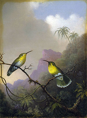 Two Humming Birds: 'Copper-tailed Amazili', c.1865/75 | Martin Johnson Heade | Giclée Leinwand Kunstdruck