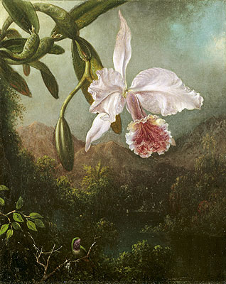 Martin Johnson Heade | Orchid Blossoms, 1873 | Giclée Canvas Print