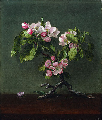 Apple Blossoms, 1873 | Martin Johnson Heade | Giclée Canvas Print