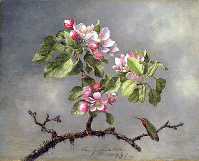 Apple Blossoms and a Hummingbird, 1875 | Martin Johnson Heade | Giclée Canvas Print