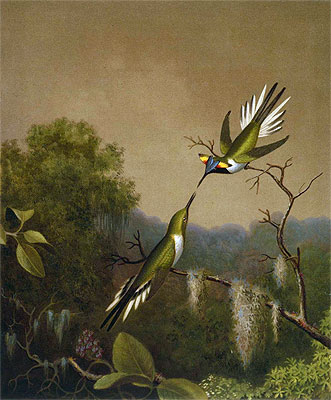 Martin Johnson Heade | Brazilian Hummingbirds IV (Heliactin Cornuta), undated | Giclée Canvas Print
