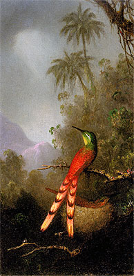Martin Johnson Heade | Red-Tailed Comet (hummingbird) in the Andes, c.1883 | Giclée Canvas Print