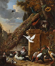 Pfauen und Enten, c.1680 von Melchior d'Hondecoeter | Leinwand Kunstdruck