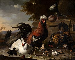 Der Friede im Hühnerhof, 1668 von Melchior d'Hondecoeter | Leinwand Kunstdruck