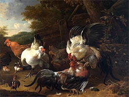 Fighting Roosters, 1668 by Melchior d'Hondecoeter | Art Print
