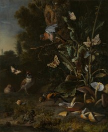 Birds, Butterflies and a Frog among Plants and Fungi, 1668 by Melchior d'Hondecoeter | Giclée Canvas Print